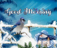 Winter Good Morning Quotes Pictures Photos Images And Pics For Facebook Tumblr Pinterest And Twitter A puppy is waking a cat. winter good morning quotes pictures