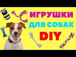 igrushki dlya sobak svoimi rukami test drajv igrushek na dzhek rassel tererah youtube igrushki dlya sobak dzhek rassel terer dzhek rassel