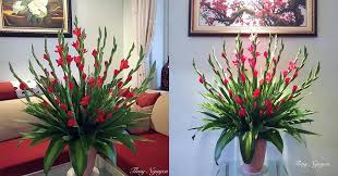 .tâm) chi lay ơn hay chi lay dơn (danh pháp khoa học: Cach Cáº¯m Hoa Lay Æ¡n Nghin Tay Ngay Táº¿t Ä'áº¹p Va TÆ°Æ¡i Lau