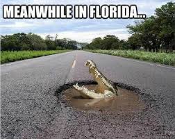 15 Downright Funny Memes You Ll Only Get If You Re From Florida Florida Funny Photomontage Funny Wallpapers