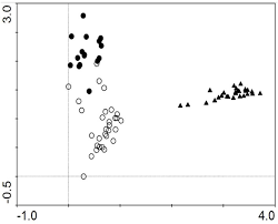 Image result for Gutenbergia rueppellii