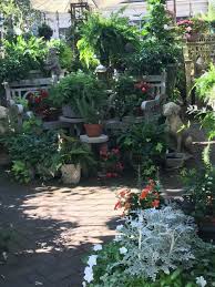Same day or next day delivery is available. Flowers On Chestnut The French Tangerine