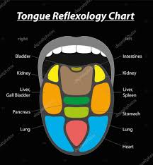 Tongue Diagnosis Reflexology Chart Black Stock Vector