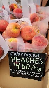 We did not find results for: Fuhrmann Orchards Llc Portsmouth Customers Andrew Is Bringing Peaches To The Main Street Farmers Market In Portsmouth On The Esplanade Today Until Noon 4 50 For 1 4 Peck Bag Facebook