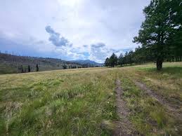 Image result for Obsidian 2011 HS