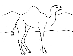 Maybe you would like to learn more about one of these? Camel In Desert Coloring Page Coloringbay