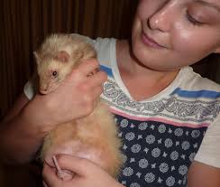 Gretel in yga yard now to coax Hansel in with a treat