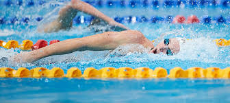 Snsw Performance Hubs Swimming Nsw