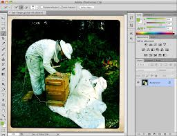 In this tutorial, we are going to discuss the select subject feature in photoshop. Extract An Object From The Background Photoshop Help Wiki