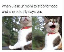 After Years She Said Yes Meme By Shiffrost Memedroid
