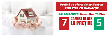 Salamander 7 Camere La Pret De 5 Camere Https Smartfenster Ro Salamander Salamander Frame Decor