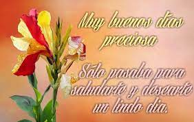Galería de imágenes con frases de buenos dias mi amor para descargar y compartir por whatsapp, celular y facebook, imágenes de amor para desear buenos días. Imagenes De Buenos Dias Hermosa Descargar Gratis Lindas Frases
