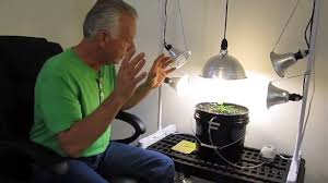 How To Set Up A Cfl Compact Floresent Lighting Rig For Growing In Hydroponics Or Soil Youtube
