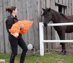 Kontakt & bestilling