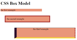 Using Padding Outlines Borders And Margins In Css Introduction to html image padding.