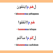 Check spelling or type a new query. Buatkan Contoh Idgham Bilaghunnah Brainly