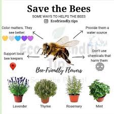 Global Warming Global Warming Facts Global Warming Definition Global Warming Art Global Warmi Bee Friendly Flowers Save The Bees Global Warming Facts