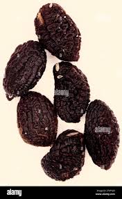 Image result for Tabernanthe