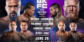 Пейдж ванзант — рэйчел остович, от промоушена bkfc. Bkfc 18 Live Results Four World Championship Bouts Liberty Multimedia Inc