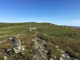 How to get from kongsberg to veggli by bus, taxi or car. Ga Til Fjells I Dette Tilfellet Veggli Dnt Drammen Og Omegn