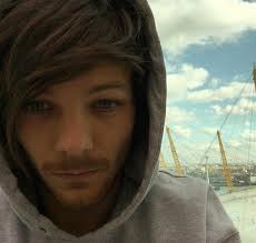 we'll be alright — Masterpost: Louis is proud of his sexuality and...