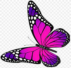 Von basics bis hin zu festmode: Butterfly Pink Purple Clip Art Png 7000x6769px Butterfly Blue Brush Footed Butterfly Clip Art Color Download