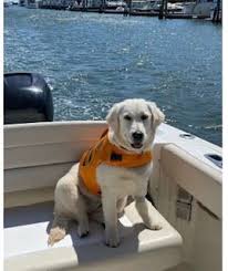 Anthony D Marken CFP in Waltham, MA