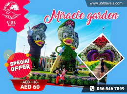 Miracle Garden Miracle Garden Flower Bed Edging Luxury Garden