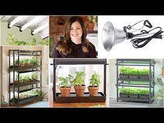 Check spelling or type a new query. 8 Laura Design Expert Ideas Garden Supplies Garden Laura