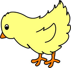 Free Picture Of Baby Chick Download Free Picture Of Baby Chick Png Images Free Cliparts On Clipart Library