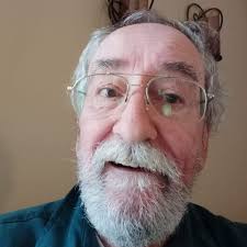 Black bear in yard in Vermont, how to handle the situation