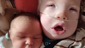 Fundraiser by Johanna Martha Luisa Schönert : Milos letzte Reise