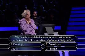 Tum Canli Kus Turleri Arasinda Kendi Vucuduna Oranla En Buyuk Yumurtayi Yapan Kus Hangisidir Atv