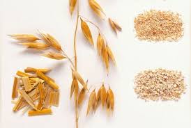 Ajoutez un peu de flocons d'avoine dans votre fromage blanc, le matin au petit déjeuner. Vive Le Son D Avoine