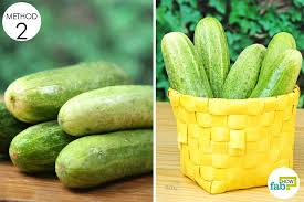 We did not find results for: How To Store Cucumber The Right Way For Up To 1 Year Fab How