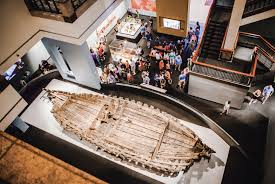 Image result for Bullockia mombazense