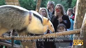 Check spelling or type a new query. Brookfield Zoo Offering Free Days For Kids This Week Abc7 Chicago