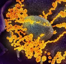 Up to and including 11 may 2021. Uk Coronavirus Variant Prompts Widespread Travel Restrictions Cidrap