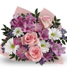 We did not find results for: Pin On Rose Gardening