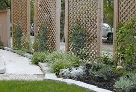 Pictures Of Vines On Trellius Freestanding Lattice Screens With Newly Planted Vines The Combination Garden Privacy Screen Privacy Landscaping Garden Privacy