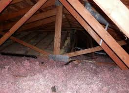 To connect with aaa pest control, join facebook today. Best Bee Removal In Bellevue Wa Mapquest