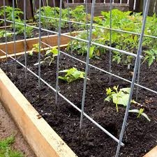We did not find results for: 10 Diy Garden Trellises That Cost Less Than 20