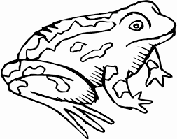 Frog And Toad Coloring Pages 18 Pictures Colorine Net 2942