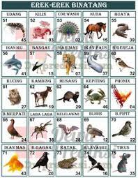 Check spelling or type a new query. 8 Ide Binatang Binatang Buku Gambar Dewi Bulan