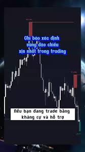 Chỉ Báo Xác Định Hỗ Trợ Và Kháng Cự | TikTok