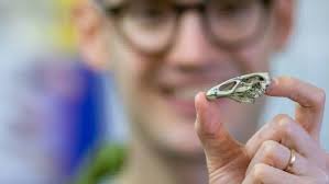 __________The Paleontograph________