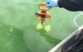Check spelling or type a new query. Algal Blooms In Maine Lakes Maine Department Of Environmental Protection