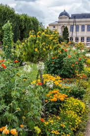park it in paris jardin des plantes simply sara travel paris beautiful park park