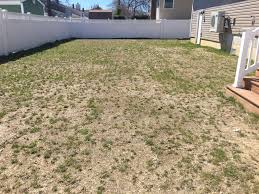 As a thumb rule, in case you are using 1kg of table sugar for a recipe, you use only 750 gm of golden syrup as a replacement. Need Help Figuring Out How To Approach Growing Grass On My Property Landscaping