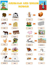 One Click Print Document Animals And Their Homes Animals For Kids Animal Lessons